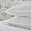 Dorma Lydia Oxford Pillowcase Pair 2 Dorma Lydia Oxford Pillowcase Pair -Home Furnishing Store 30772228