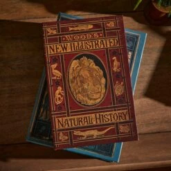 Set Of 2 Storage Books 14 Set Of 2 Storage Books -Home Furnishing Store 30862874 alt04