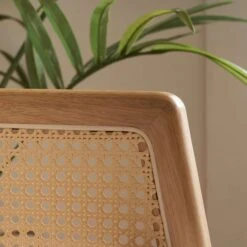 Ida Rattan 2 Seater Sofa -Home Furnishing Store 30918252 alt06