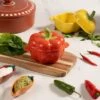 Tomato Casserole Dish -Home Furnishing Store 30923166